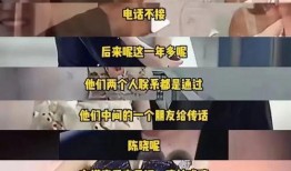 卓伟最新爆料陈晓,卓伟最新爆料揭秘真相