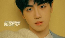 宋义进前女友爆料视频,揭秘昔日恋情内幕